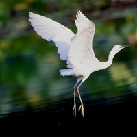 ����һ��