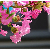 С����΢��