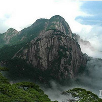 ������ţ�����������о���֮��