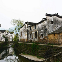 ̽Ѱ���Ź���ǧ���Ļ�,���鼤������ɽƯ��