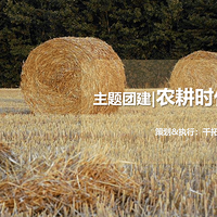 2019�����Ž�����ũ��ʱ��