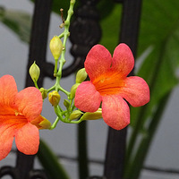 С����������