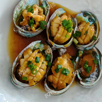 �ҹ����Ŀ�����