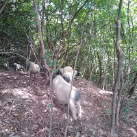 ɽ�������?9?2?1?5���û����ֳ������ô������