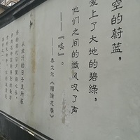 ·��������Ҳ��������ַ