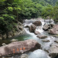 ��������ȥ��