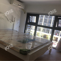 �ຼ���������