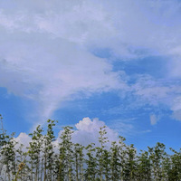 ����羰����