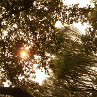 ���Ӻ��ϣ�Ϧ�����£�