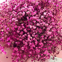 ������˼����û����