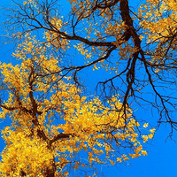 �����졿10.1-10.6��ɫ����ɣ�������������֣�̽�غ�ˮ�ų�