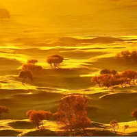 �����졿�й������ĳ�����ϲ�ԭ��������Ϣ���ͻ��������