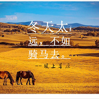 ���� ���ϲ�ԭ ����ʢ�� ԽҰ����������Խ