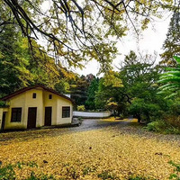 �������Ŀɽ