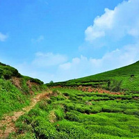 ͽ�������ŵ��������㽭�书ɽ | 10.2