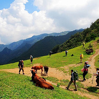 ���������·���պ����ɷ��� | 10.1