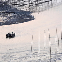 ����ϼ�֣���������������书ɽ����������ɽ�������� | 9.30