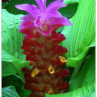 ����֮��