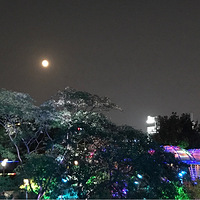 ʮ�������