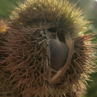 ũ����������������