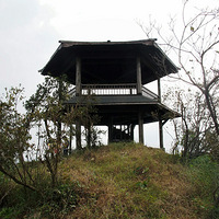 ��������ƺ�������