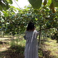 9�·ݲ�֪��ժʲôˮ��������ɽ�Ӻ�����ˮ����ժ