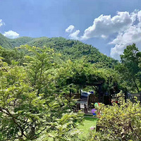 Ī��ɽ�Ž�������