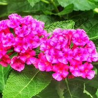 ����֮��