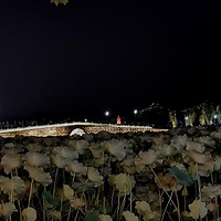 ����ҹ��·����ɽ�֡�