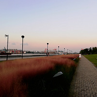 �������Ӳ�