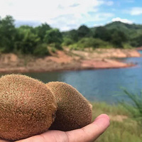 ����⨡���Լ��⨺��Ҳ�ժ����ʱ�����ߵ�άCֻΪ��⨡����㣡