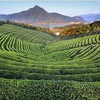 Ī��ɽԭ��С��  ��չ�Ž���������Ӫ��