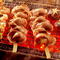 2019�＾Ա���Ž����������չ�������˶���ǿ�Ŷ�������