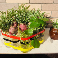 ���׵�free time