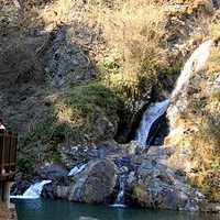 ���������˱���