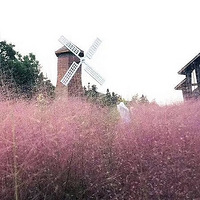 [�ܱ���]С�� ���� ���� ������ ������ ����ɡ ����԰