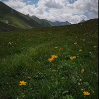 ���¹����･Ũ��Ը�㲻���ػ������