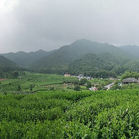 ��������ϳ�ܤ������