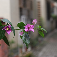 ���˴��������÷