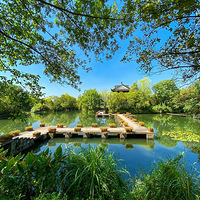 ��һ��iPhone 11Pro Max�ֻ�������Ч��