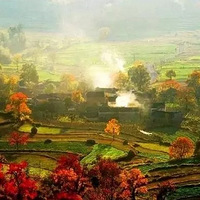 ������ɫ