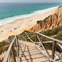 2019��ȫ������10����������Ŀ�ĵ�