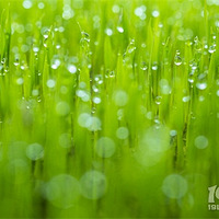 ��������������գ�����̽Ѱ�����׵Ĺ��¡���