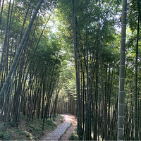 ����Ī��ɽ��ֵ��һȥ��