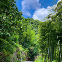 �羰���� �� ���ݡ��ຼ��ɽ��