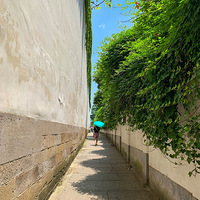 ���ݡ���ĩ���̺�ѩ�ҹʾ�