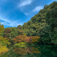 �����羰 �� ��������¤Ǭ��·����Ϫ