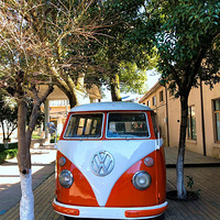 ���ݡ����źʹ�԰���ʺ����������й�����յ�԰����