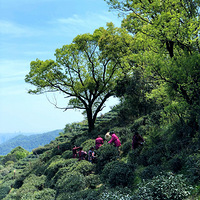 ���ݡ���ѵ�ɽ·�ߡ�ʮ���ū���