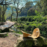 ���ݡ���Ϫʮ�˽�